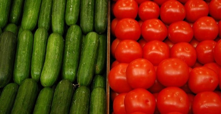 الأردن أولاً وتركيا ثانياً في لائحة مصدري الخضار والفواكه إلى كيان الاحتلال