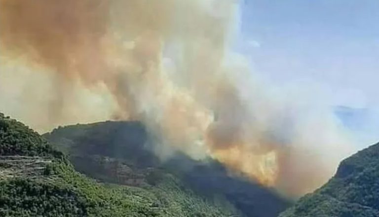 بالصور.. حريق ضخم في طرطوس السورية