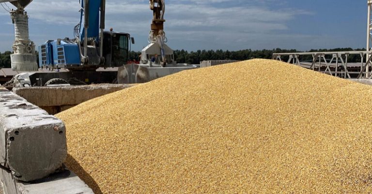 أوكرانيا صدرت 100 ألف طن من الحبوب عبر كرواتيا