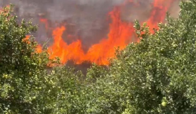 جهود متواصلة لإخماد الحريق في العباسية