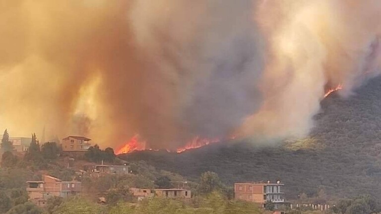 السيطرة على 20 حريق غابات في الجزائر