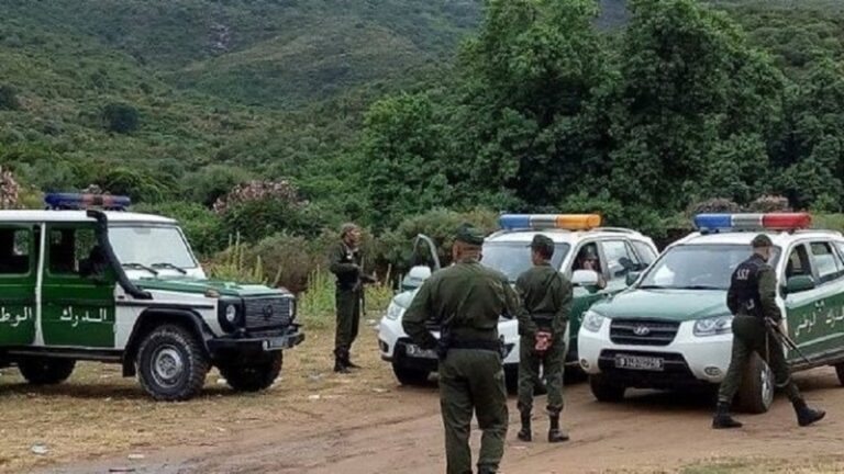 تفكيك شبكة تنقيب عن الآثار في الجزائر