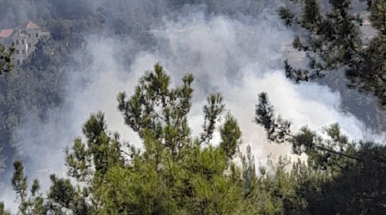 حريق بين بلدتي عانوت وشحيم