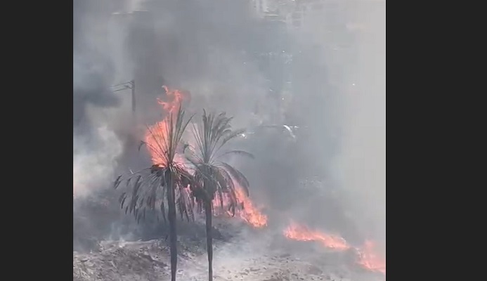 بالفيديو.. حريق كبير في الرويسات- الجديدة