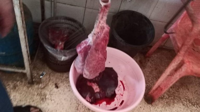 ضبط ملحمتين تبيعان لحوم مبردة
