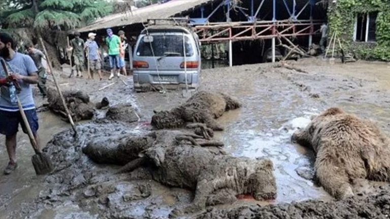 قتلى ومفقودون بالفيضانات في جورجيا