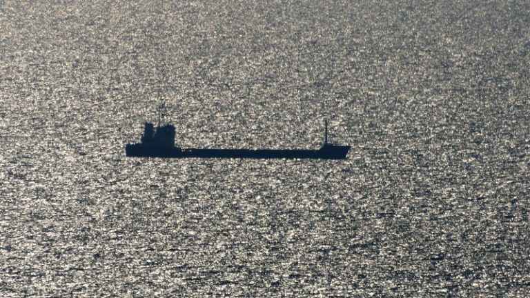 سفينة أوكرانية محمّلة بالقمح تتجه إلى مصر