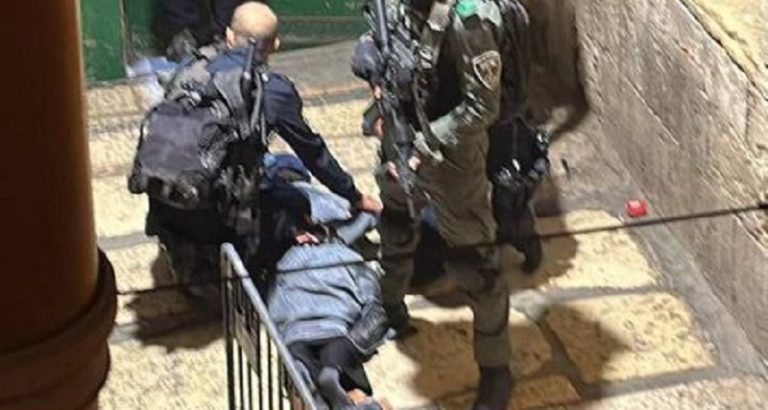 بالفيديو: الاحتلال يعتقل شابة بزعم تنفيذ عملية طعن