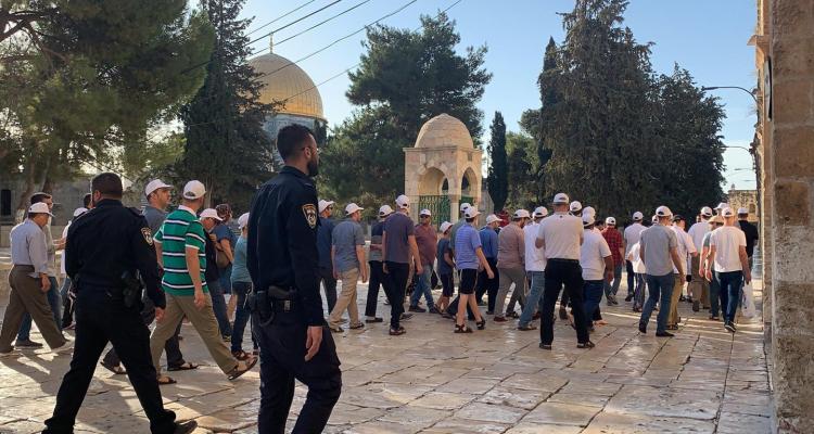 مستوطنون يؤدون رقصات استفزازية قرب الأقصى