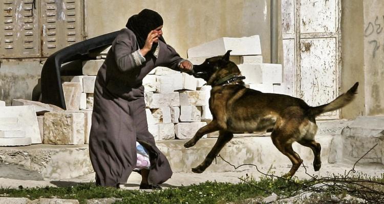 تفاصيل مروعة.. الاحتلال يجبر فلسطينيات على التعري أمام الأطفال