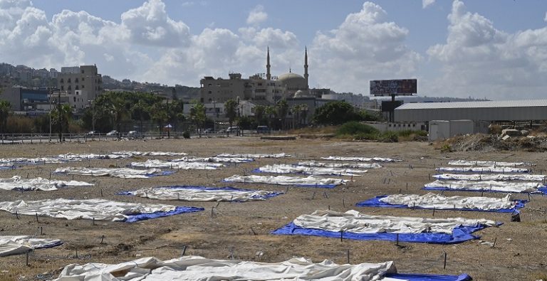 هدنة في عين الحلوة؟