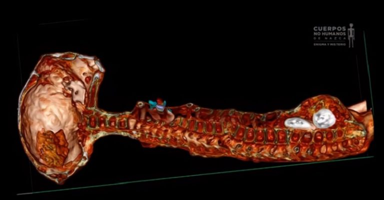بالفيديو والصور.. “لحظة فاصلة في تاريخ البشرية”: المكسيك تعرض جثث مخلوقات “ليست من الأرض”!