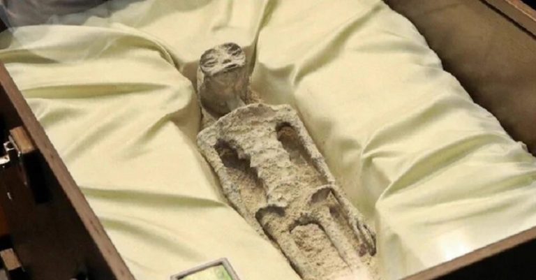 صدمة في العالم بعد الكشف عن مخلوقات “ليست من الأرض” في المكسيك!