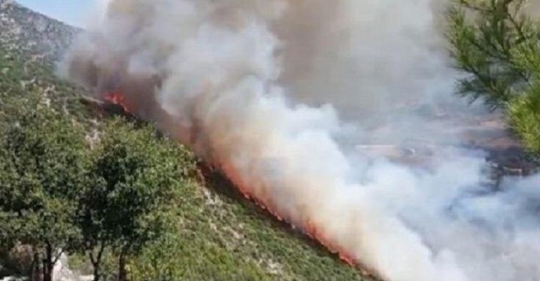 توسع رقعة الحريق في بسري