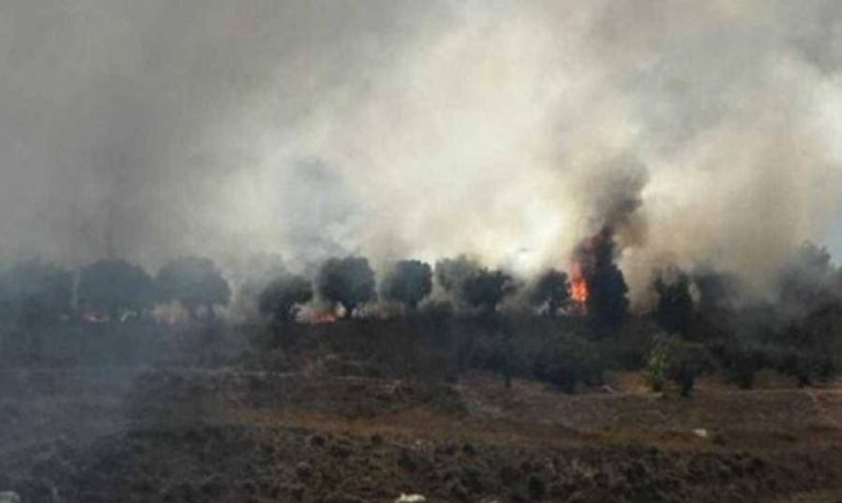 السيطرة على الحريق بين الدبية وبعاصير