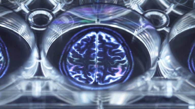 لدماغ أفضل في مرحلة الشيخوخة.. هذا ما كشفته دراسة!