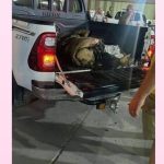 d2e3bc8d-f8e9-4c76-9f1a-73bfae7bb1d6