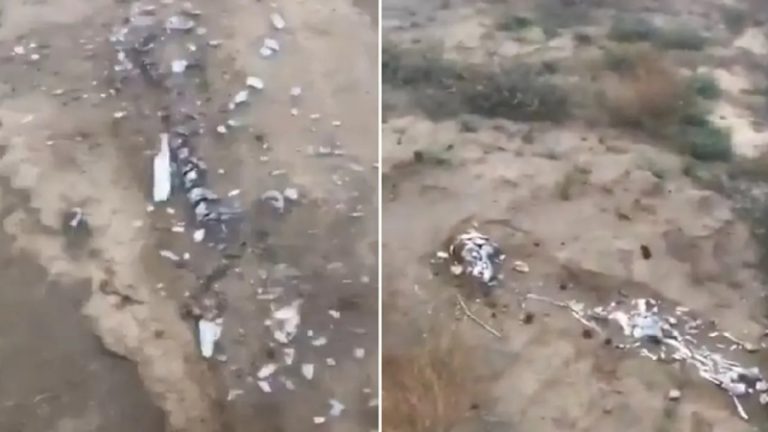 عثرت على رفات ابنتها المختطفة منذ 31 عاماً