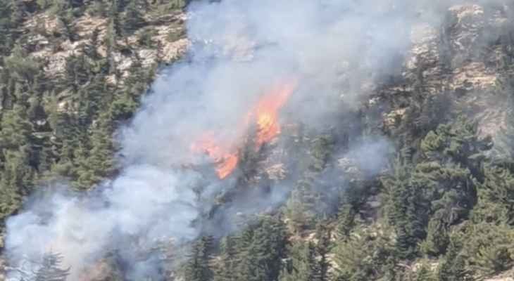 حريق في مارسركيس اهدن