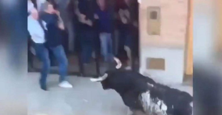 بالفيديو.. ثور هائج يقتل رجلاً في إسبانيا!