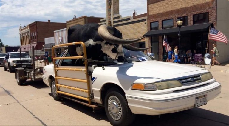 بالفيديو.. الثور الضخم “سائق مساعد”!