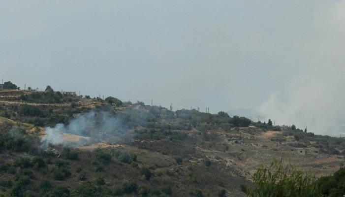 هل أطلق “حزب الله” طيور بجع فوق الجليل؟