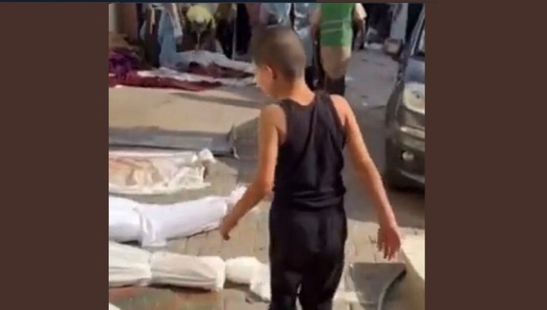 بالفيديو.. طفل فلسطيني يبحث عن عائلته بين الشهداء