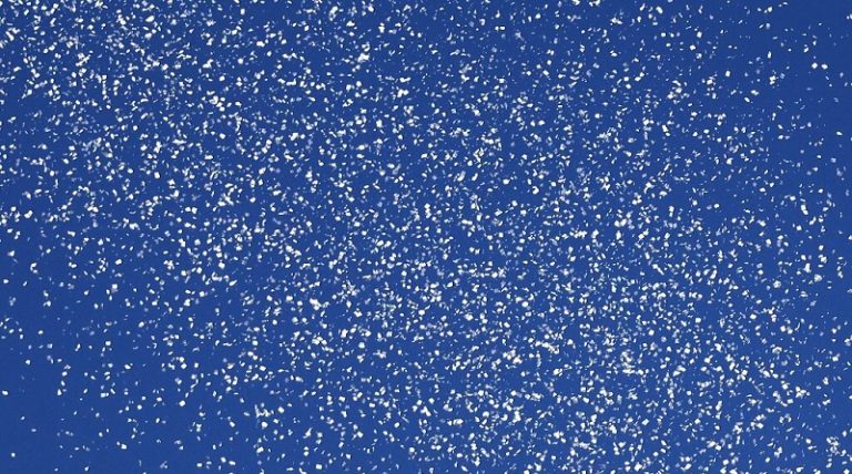 بالفيديو.. مناشير العدو فوق قطاع غزة لإخلائه