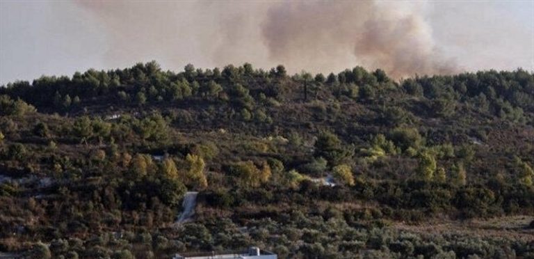 المقاومة تستهدف مستوطنتين على الحدود