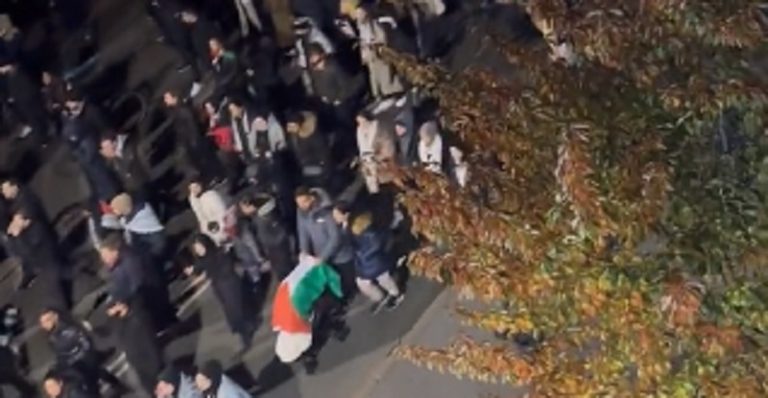 بالفيديو: الشعب التركي يدعم غزة.. ومظاهرات في تونس والأردن والدنمارك!