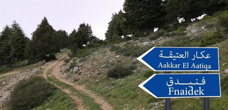 خلافات نسائية تطورت إلى إطلاق نار في فنيدق