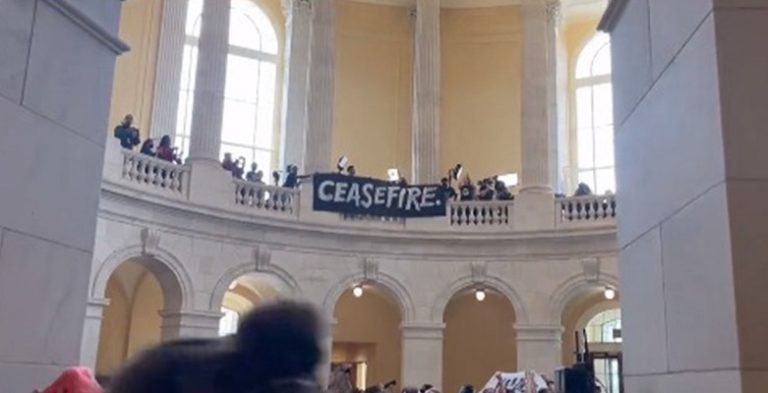 بالفيديو.. إقتحام الكونغرس الاميركي تضامناً مع غزة