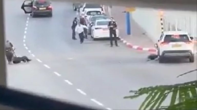 بالفيديو: قوة صهيونية تقع بكمين للمقاومة