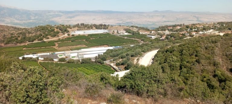 رئيس مستوطنة: لا زلنا على قيد الحياة لأن “الحزب” لم يقرر قتلنا