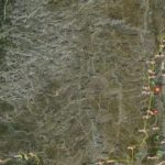 0ce58236-fe88-4e3c-8e1c-e9de4baab7cd