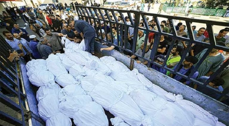 12300 شهيد في غزة