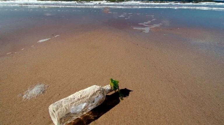 شواطئ الولايات المتحدة الجنوبية تمتلئ بـ “زجاجات السحرة”!