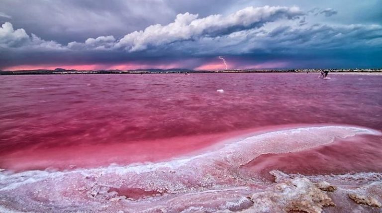 بالفيديو.. بحيرة وردية!