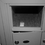 1421a0d4-1b19-4e6d-bb96-9881e0cdae97