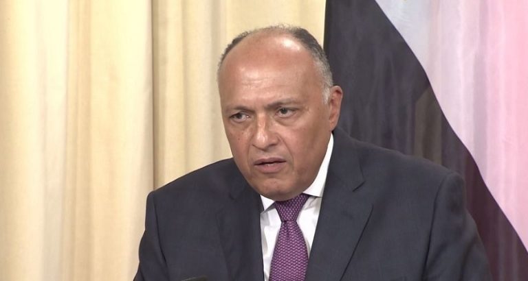 شكري: تهجير الفلسطينيين أمر مرفوض دولياً