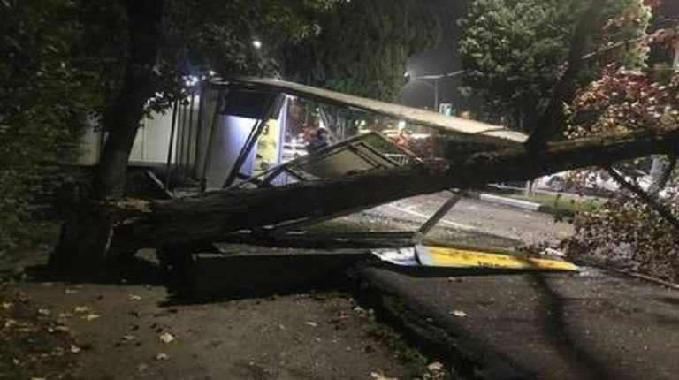 جرحى ومفقود بعاصفة في شبه جزيرة القرم