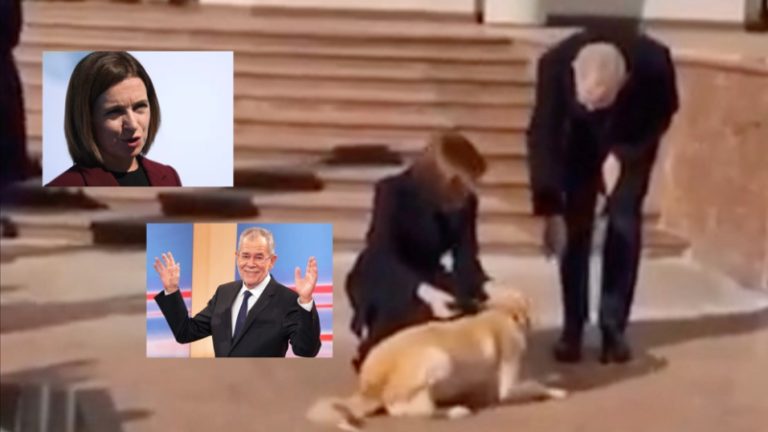 بالفيديو.. كلب الرئيسة عضّ الرئيس!