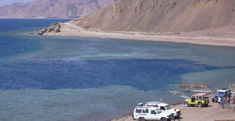 جسم طائر قبالة سواحل “دهب” المصرية