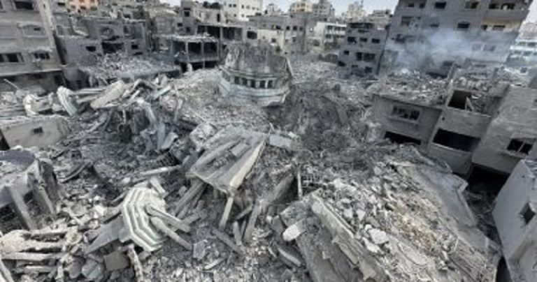 أسراب النورس.. وشاطىء سيناء