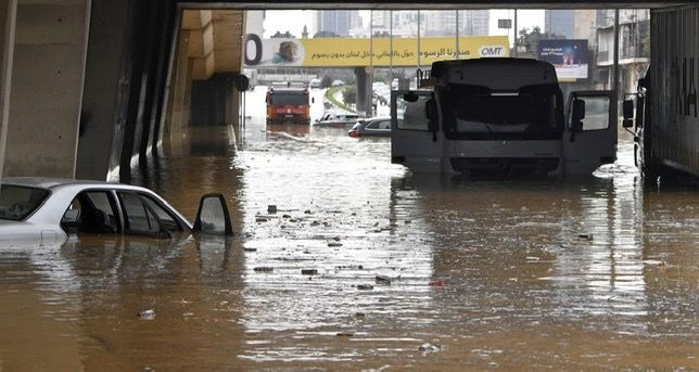 جريمة لا تغتفر… فهل من خطوات عقابية؟