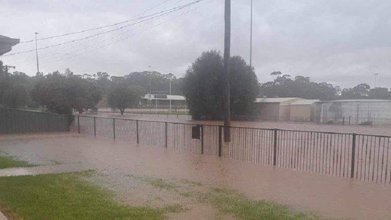 العواصف تقطع الكهرباء عن 100 ألف منزل في أستراليا