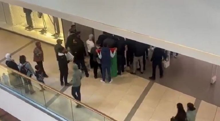 بالفيديو.. محتجون يرفعون أعلام فلسطين أمام محلات “زارا” في بيروت