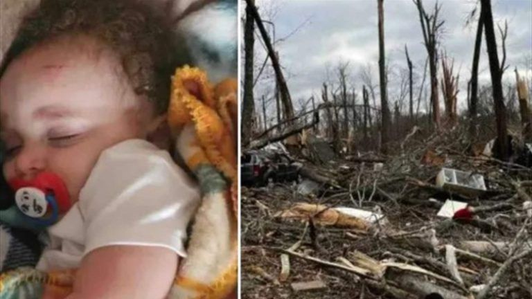 الإعصار حمل طفلاً من منزله.. إلى شجرة!