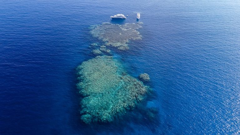 “رويترز”: إصابة ناقلة نرويجية في هجوم بالبحر الأحمر