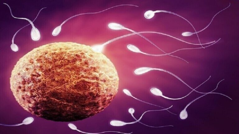 تحذير.. مشاكل صحية تحرم من الإنجاب!